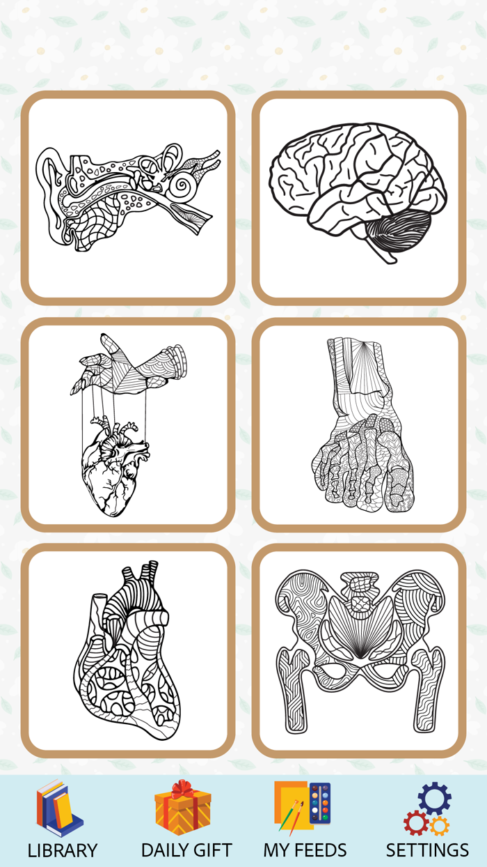 Anatomy Coloring Book.
