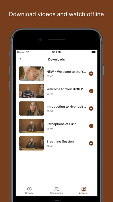 YOUR BIRTH PROJECT Screenshot