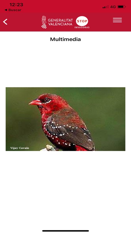 GVA Invasoras screenshot-6