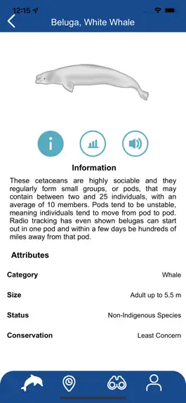 Game screenshot Whale Reporter hack