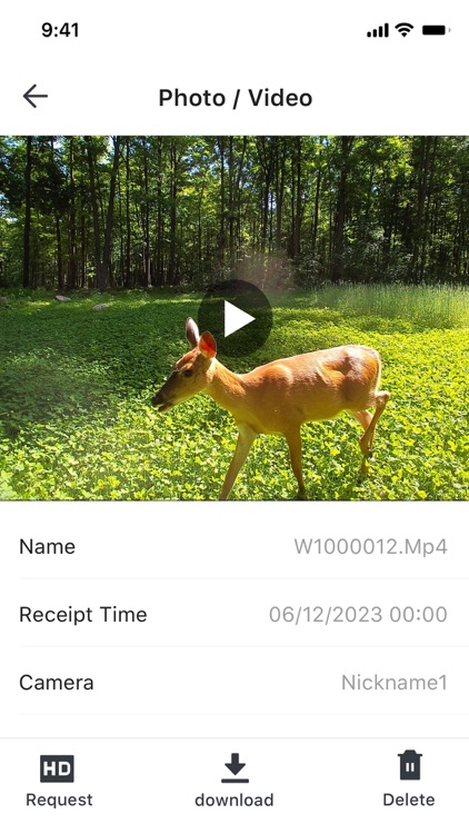 Camojojo screenshot-3