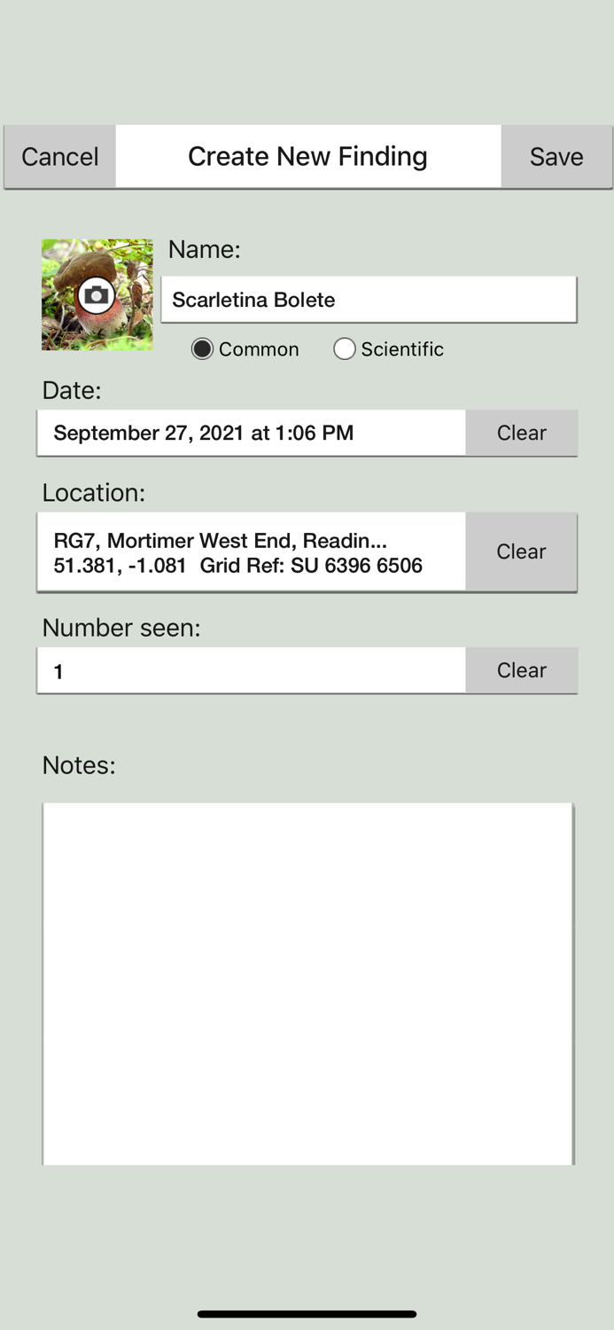 Mushrooms and other Fungi UK