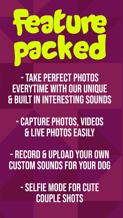 PetCam - Perfect Pet Portraits Screenshot
