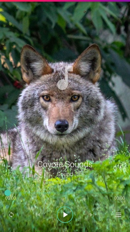 Coyote Sounds Pro screenshot-5