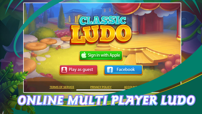 Classic Ludo - Board Game