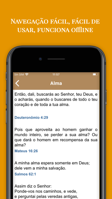 Temas Bíblicos para Pregar Screenshot
