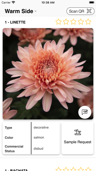 Queens Bouquet Network Screenshot