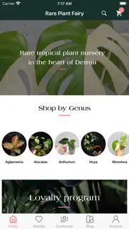 rare plant fairy problems & solutions and troubleshooting guide - 1