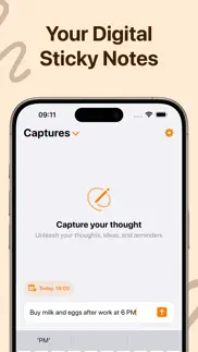 capture - quick notes iphone screenshot 1