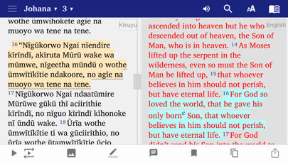 Kikuyu Swahili Luo Screenshot
