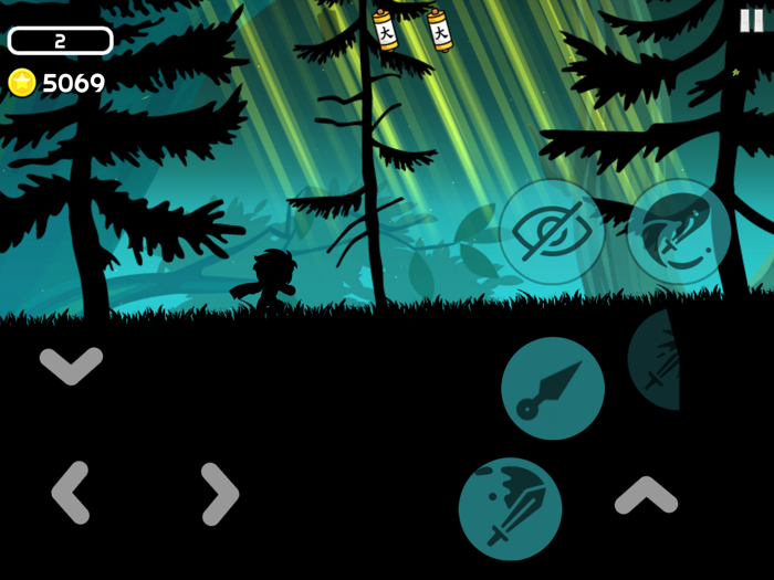 Ninja Playground Dark Shadows