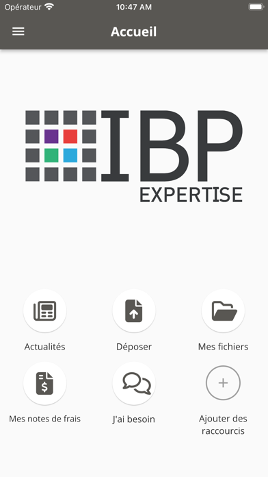 IBP EXPERTISE Screenshot