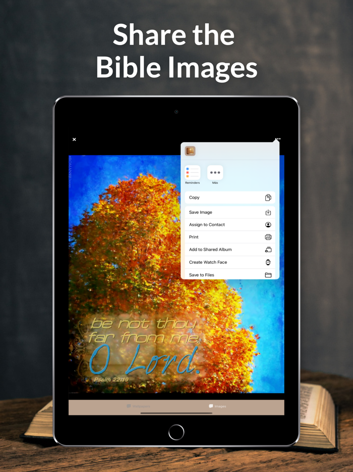 Systematic Biblical Theology
