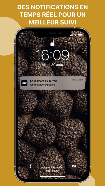 Le Diamant Du Terroir screenshot-6