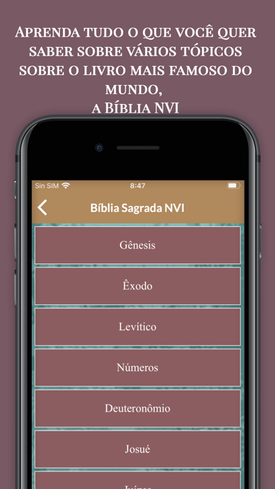 Estudos Bíblicos para Mulheres Screenshot