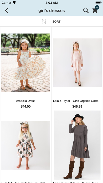 Hollyhock Clothing Company Screenshot