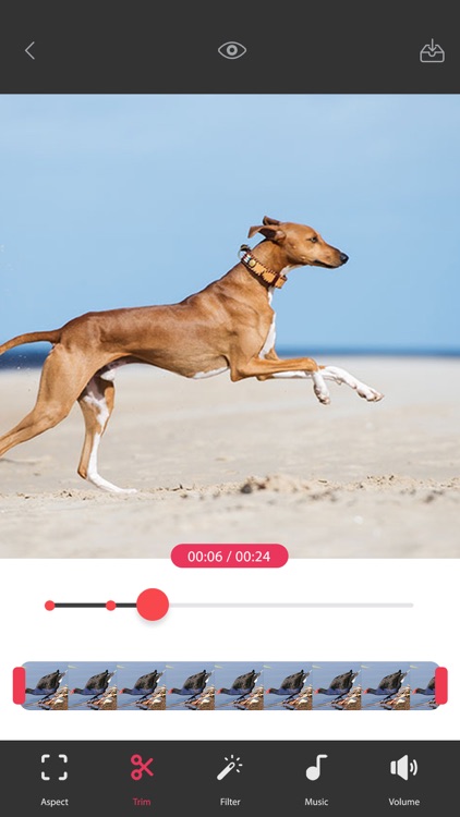 Video Shake Correction