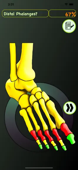 Game screenshot Foot Bones: Speed Anatomy Quiz hack