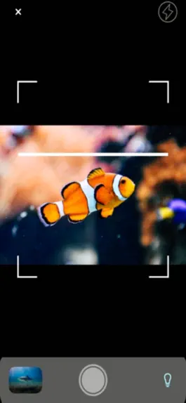 Game screenshot Fish Identifier & Verify App apk