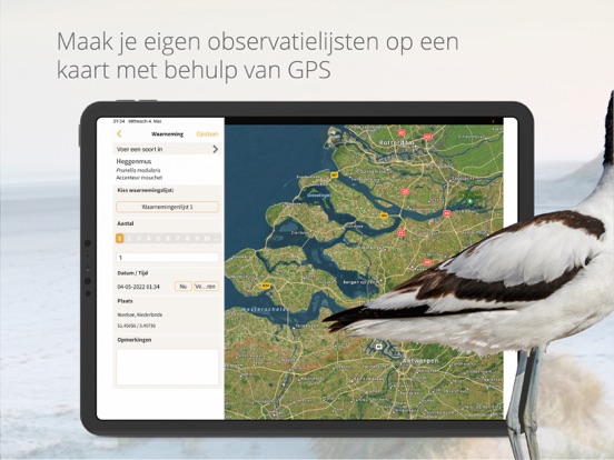 Vogels van Nederland en België iPad app afbeelding 9