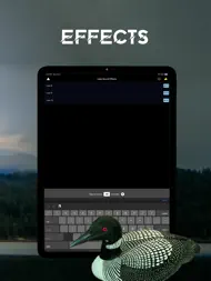 Loon Sound Effects ipad bilder 2
