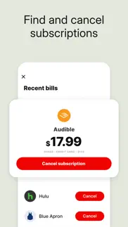 albert: budgeting and banking iphone screenshot 4