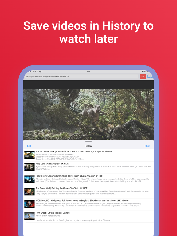 Music Video Player with PiP iPad screenshot 3 - Entertainment app