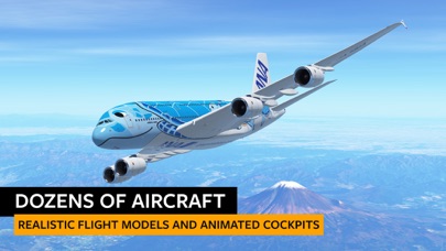 screenshot of Infinite Flight Simulator 1