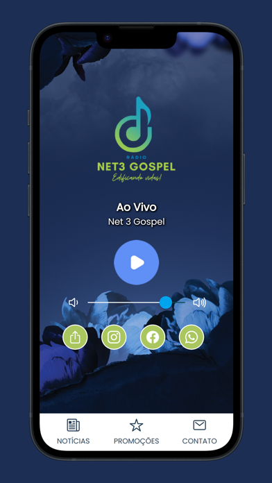 Net 3 Gospel Screenshot