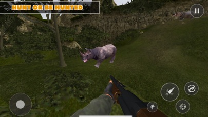 Safari wild animal hunter game Screenshot