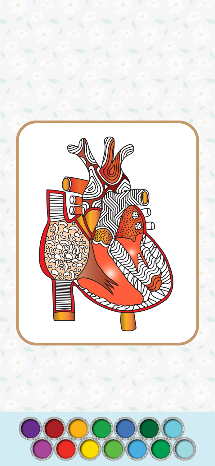 Anatomy Coloring Book.