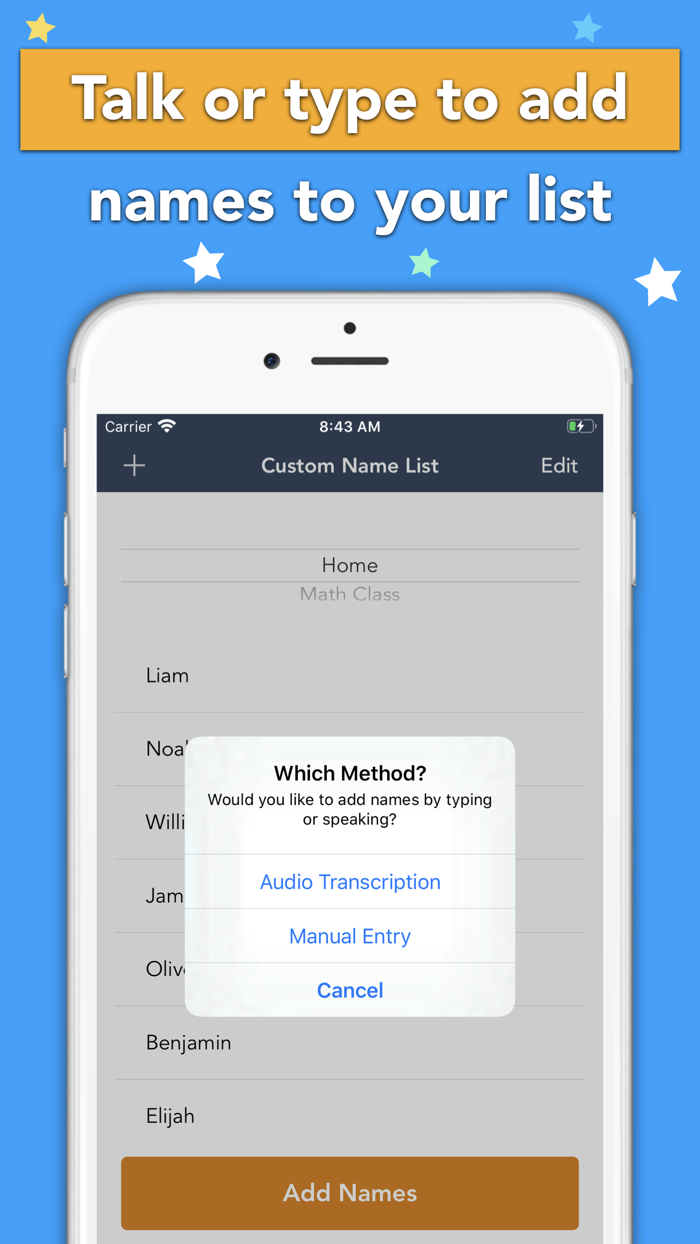 Random Name Picker Pro