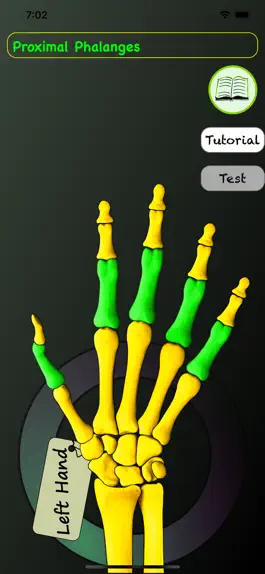 Game screenshot Hand Bones: Speed Anatomy Quiz mod apk