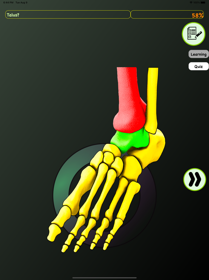 Foot Bones Speed Anatomy Quiz