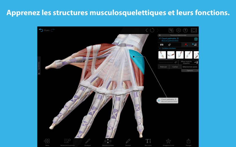 Screenshot #3 pour Atlas d'anatomie humaine en 3D