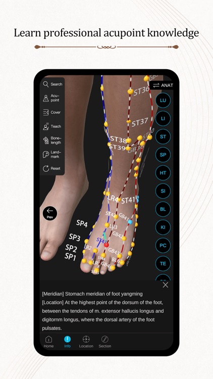 Acupuncture Master screenshot-4