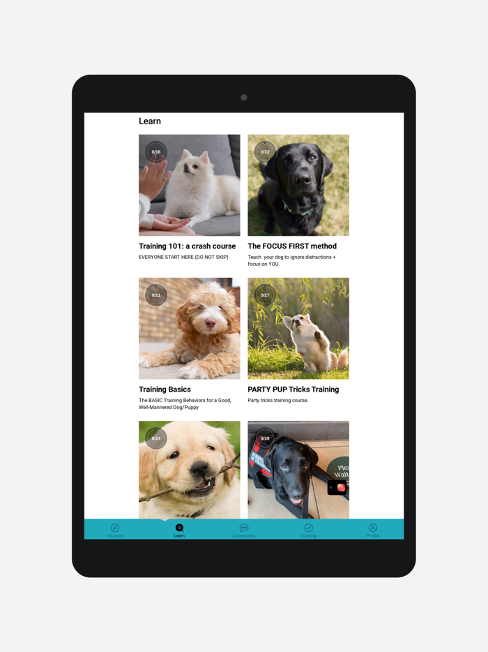 Pawsome Pups Academy