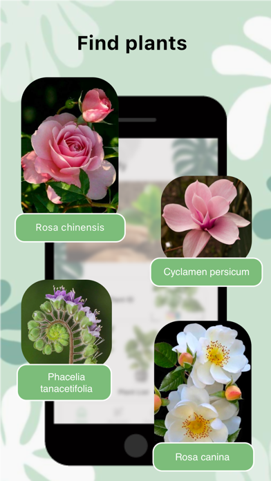 Plant Care And Identification Screenshot