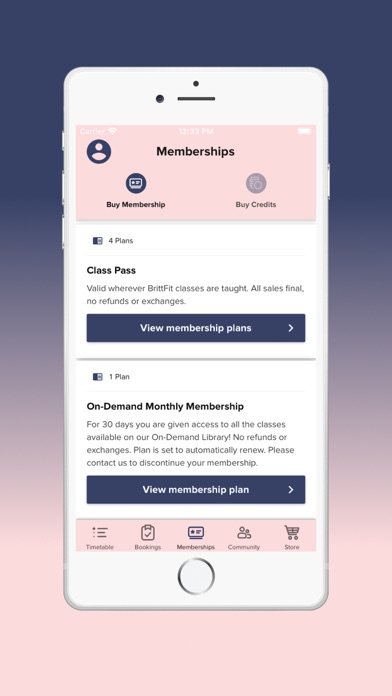 BrittFit Family Fitness Screenshot