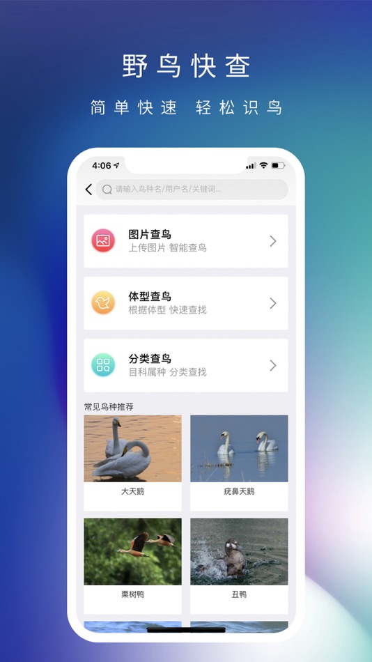 #3. 爱鸟国际 (iOS) Podle: 北京爱鸟国际文化传播有限公司