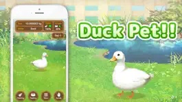 Game screenshot Duck Pet mod apk