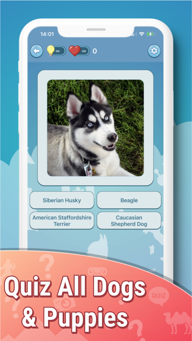 Quiz guess all cute dog breeds Screenshot