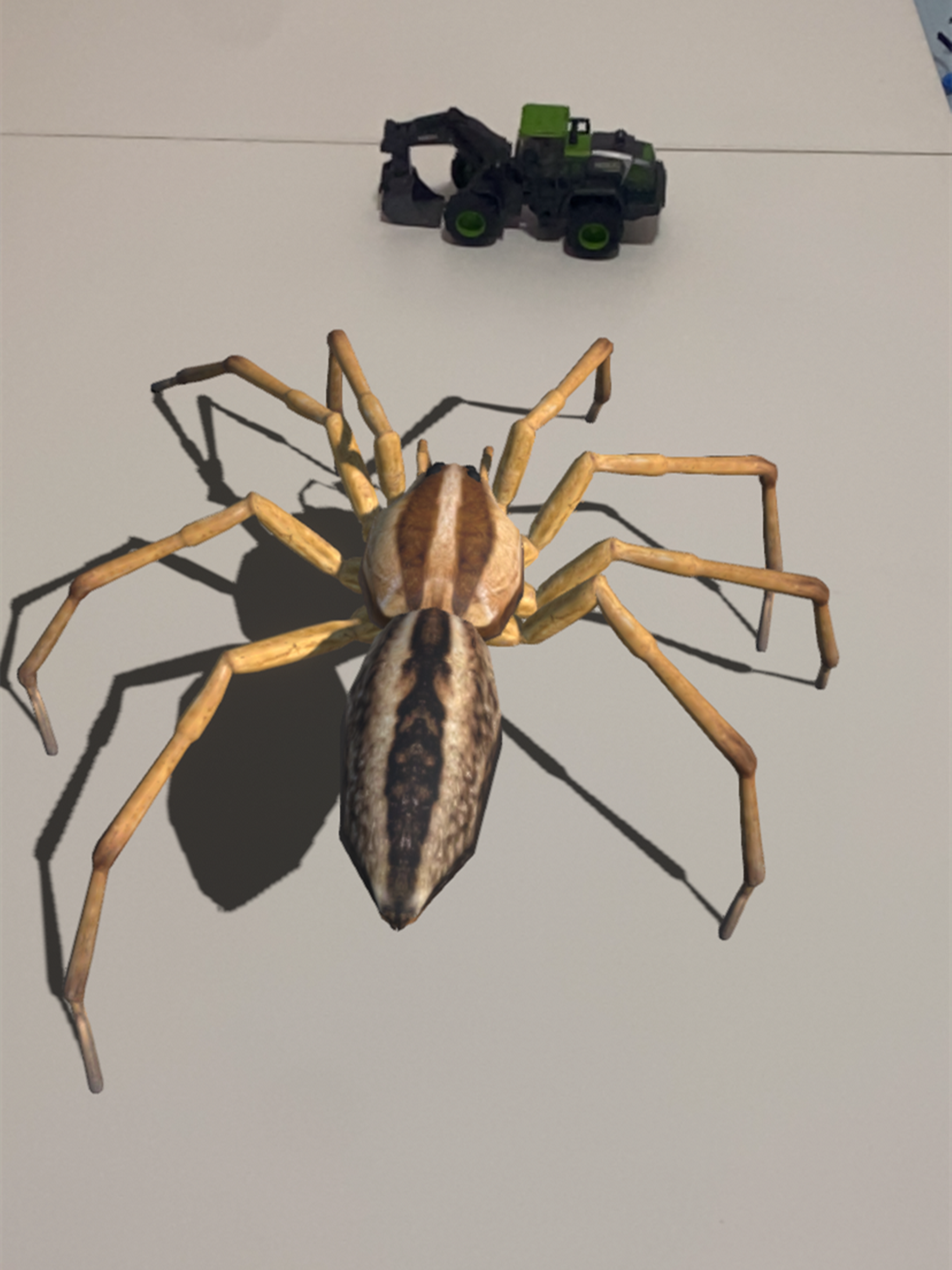 Insectes AR