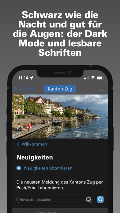 Abstimmung Screenshot