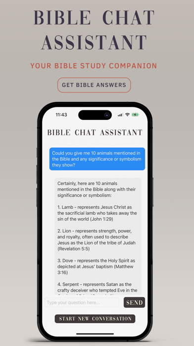 Bible Chat Assistant Screenshot