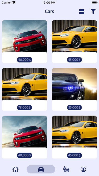 Boto Cars Screenshot