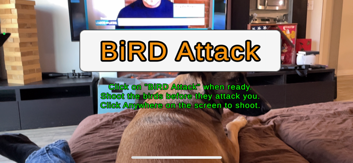 BiRD Attack