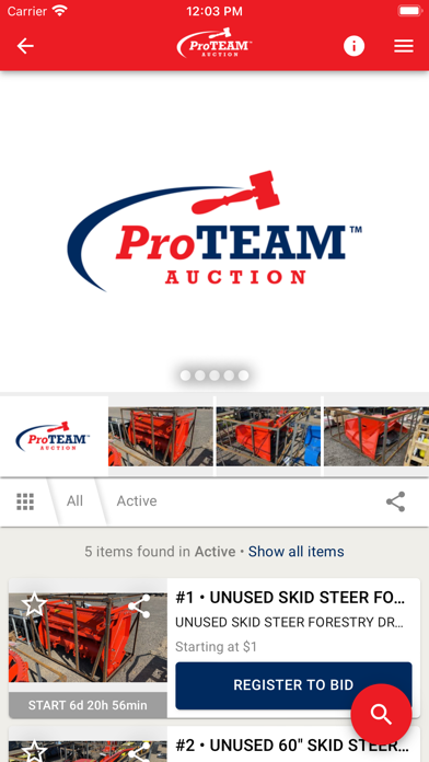 ProTEAM Auction Screenshot