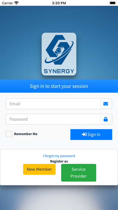 SynergyBiz Screenshot