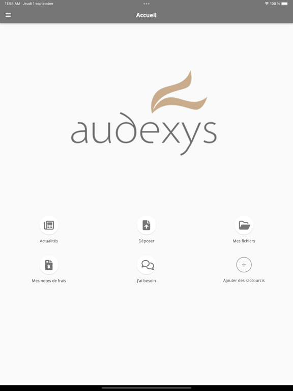 Screenshot #4 pour Audexys